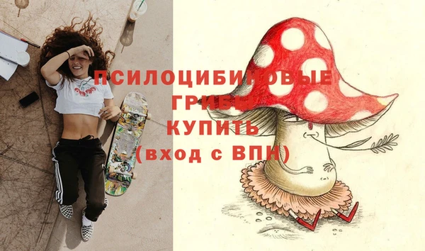 мяу мяу мука Майский