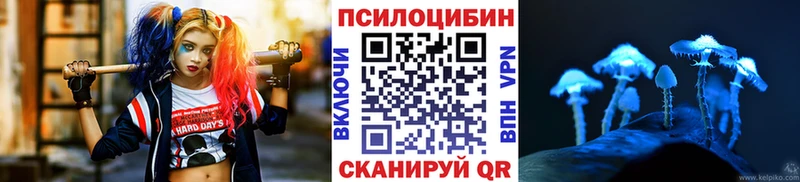 где продают наркотики  Старая Русса  Галлюциногенные грибы прущие грибы 